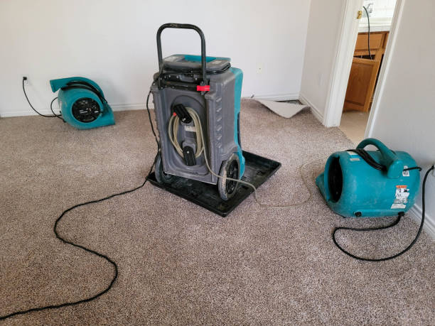 Best Water damage restoration process  in Coral Hills, MD