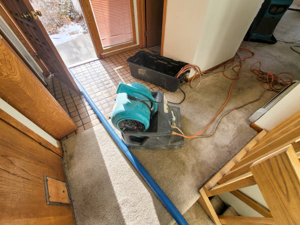 Best Flooded house restoration  in Coral Hills, MD