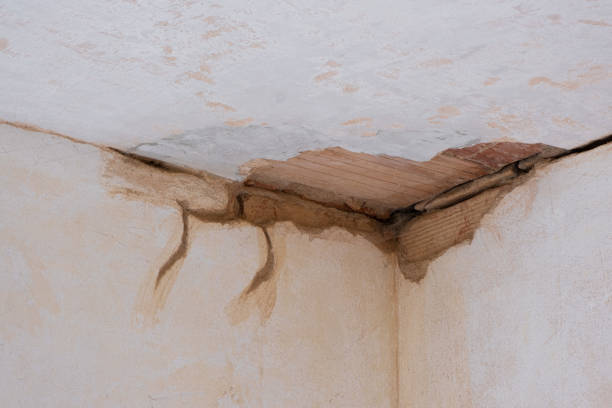 Best Water damage restoration near me  in Coral Hills, MD