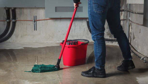 Best Emergency water damage restoration  in Coral Hills, MD