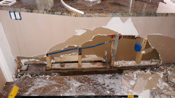 Best Flood damage cleanup  in Coral Hills, MD