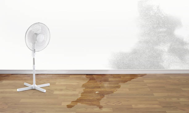 Best Commercial water damage restoration  in Coral Hills, MD
