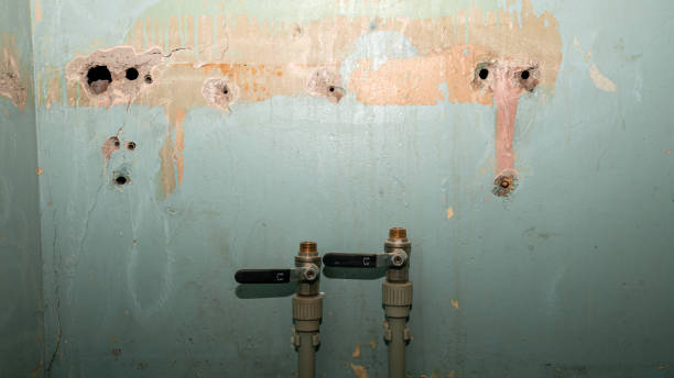 Best Local water damage restoration  in Coral Hills, MD