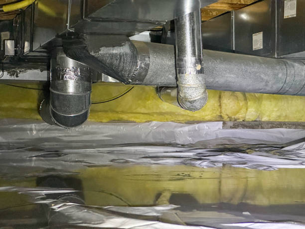 Best Professional water damage repair  in Coral Hills, MD
