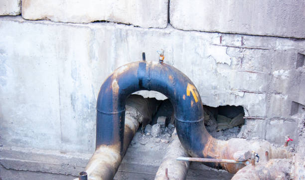 Best Professional water damage repair  in Coral Hills, MD