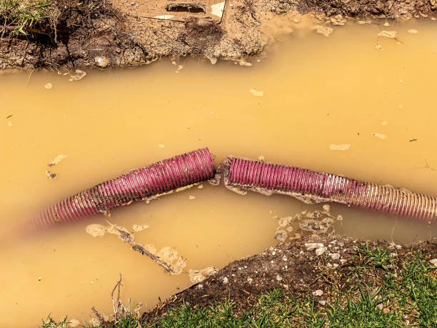Best Residential water damage restoration  in Coral Hills, MD