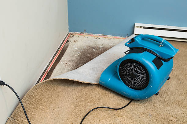 Best 24/7 water damage repair  in Coral Hills, MD