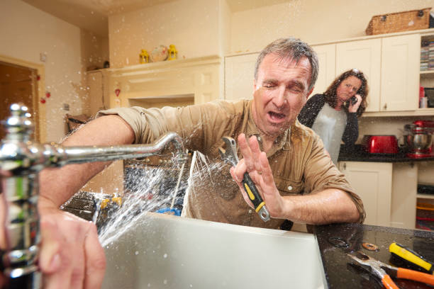 Best Professional water damage repair  in Coral Hills, MD